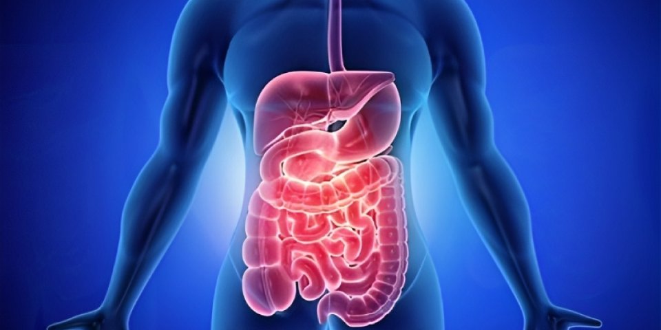 Dr. N Subrahmaneswara Babu consulting a patient in Hyderabad—Advanced GI Care, Best Gastroenterologist Near Me